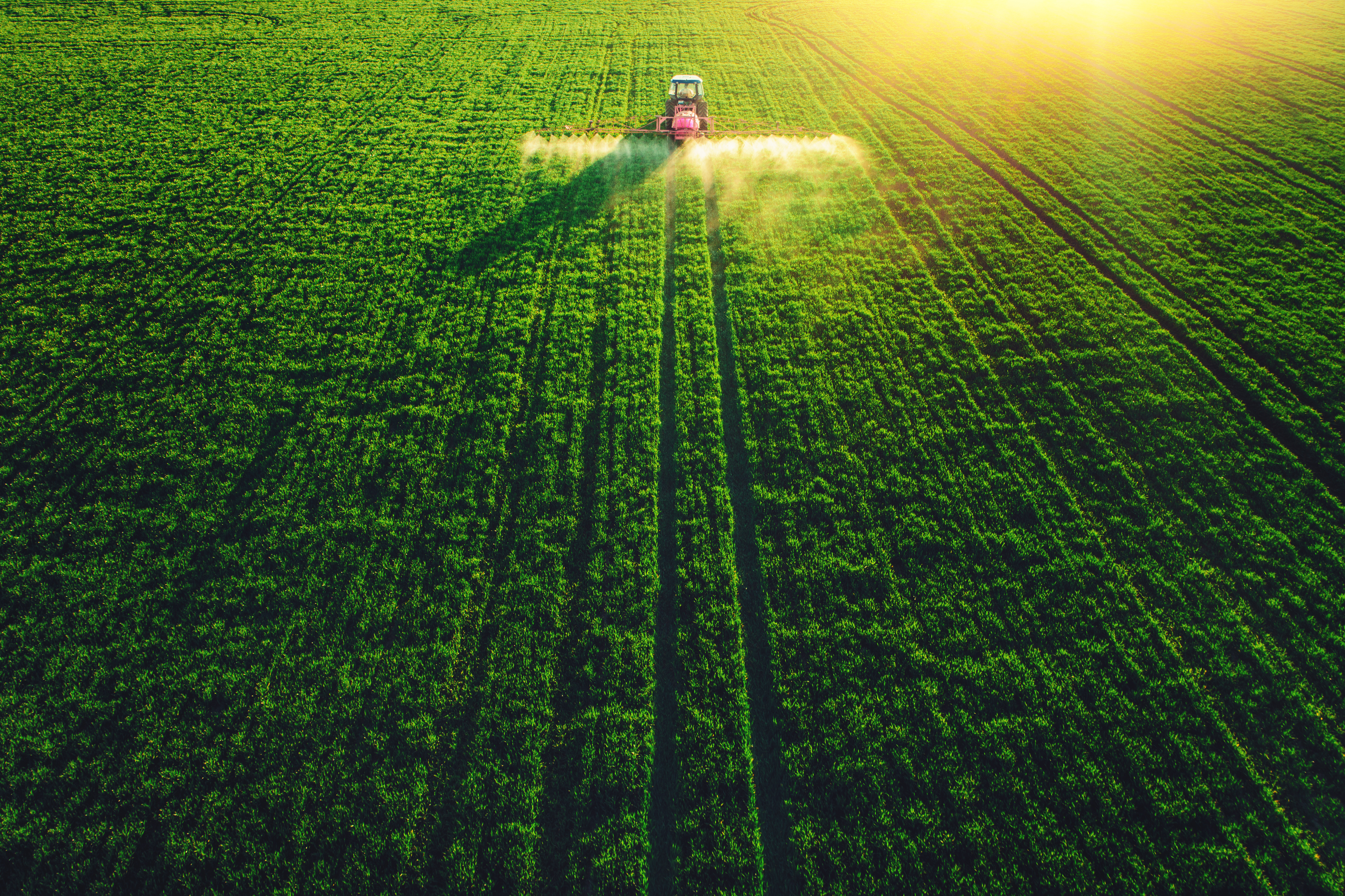 Tractor Spraying a farm field