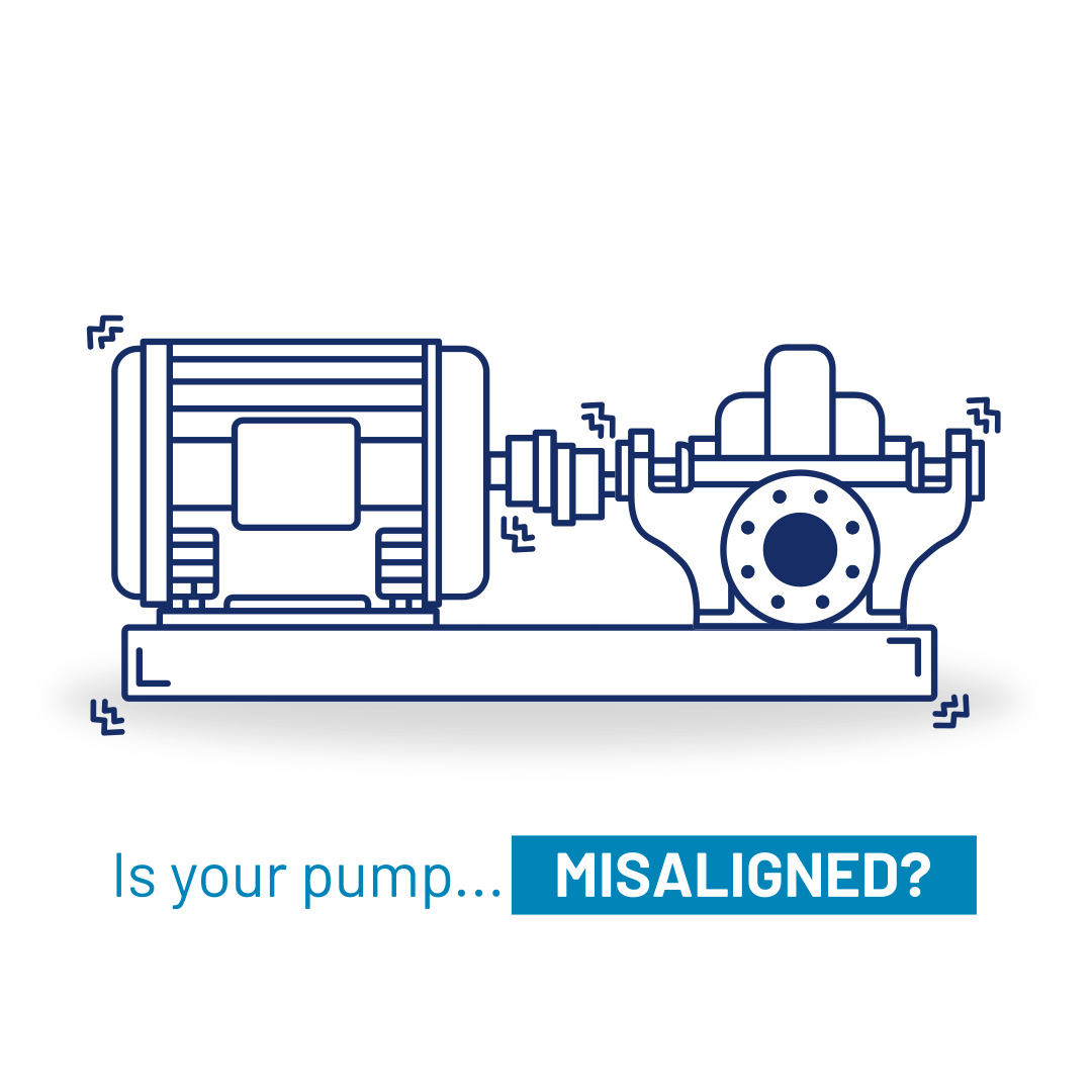 Blue outline of split case pump