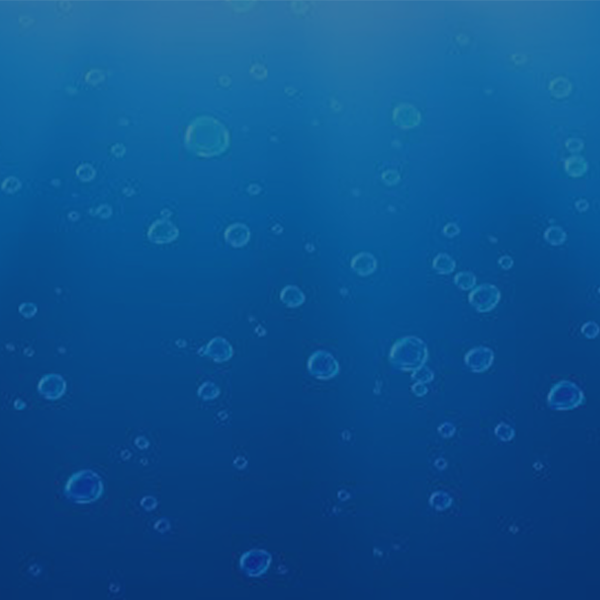 Water with an IntelliFlo 3 Pump on the right hand side.