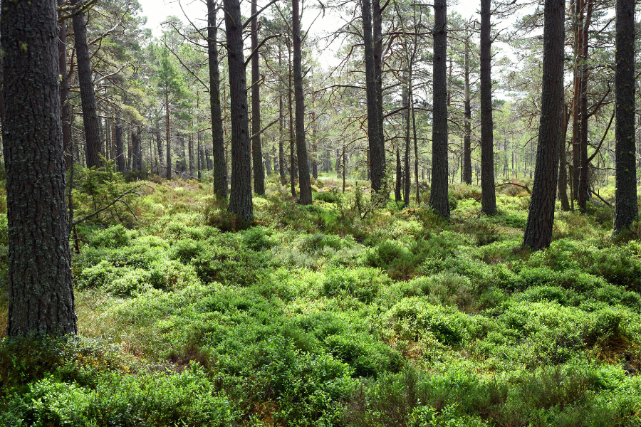 Earth Day 2026 Blog - 1