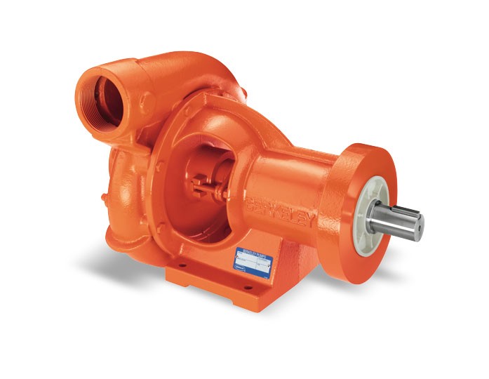 Berkeley B-Series Frame Mount Centrifugal Pumps