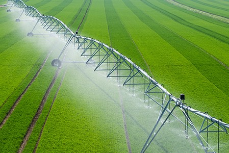 Agricultural Irrigation